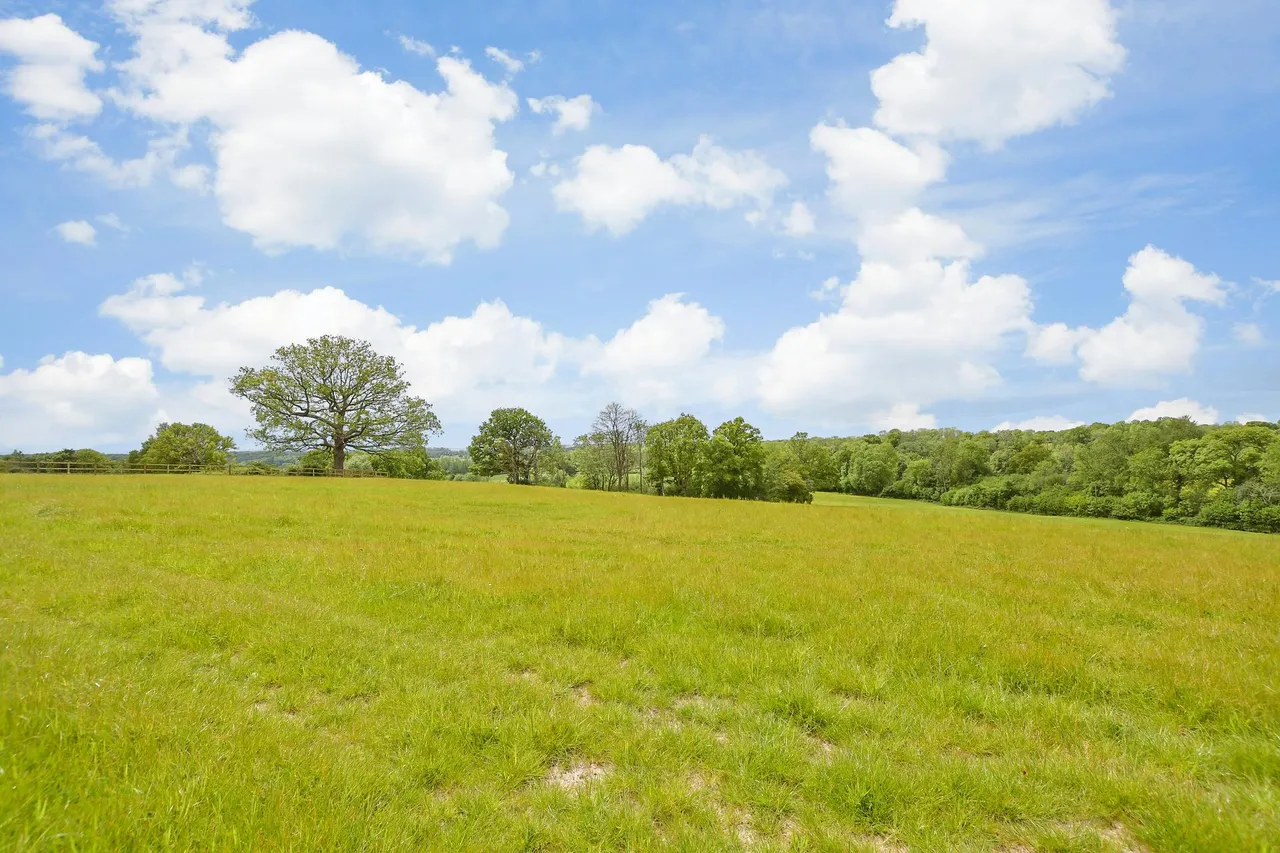 Hartfield Road, Cowden, TN8, photo 24