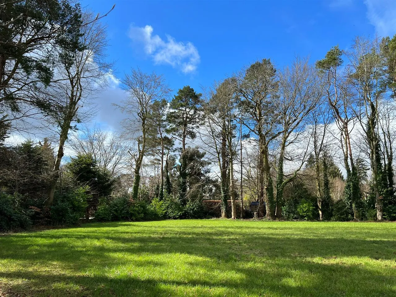 Upper Malone Road, Belfast, BT17, photo 19