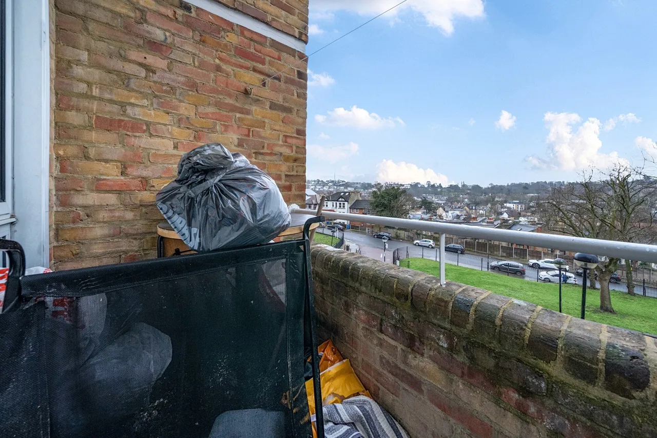 Overhill Road, SE22, photo 9