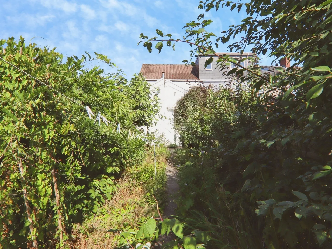 Duffryn Bach Terrace, Pontypridd, CF38, photo 4