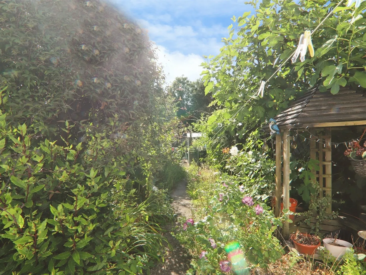 Duffryn Bach Terrace, Pontypridd, CF38, photo 20