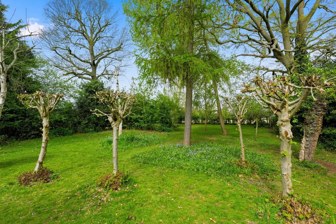 Manor Road, West Bergholt, CO6, photo 33