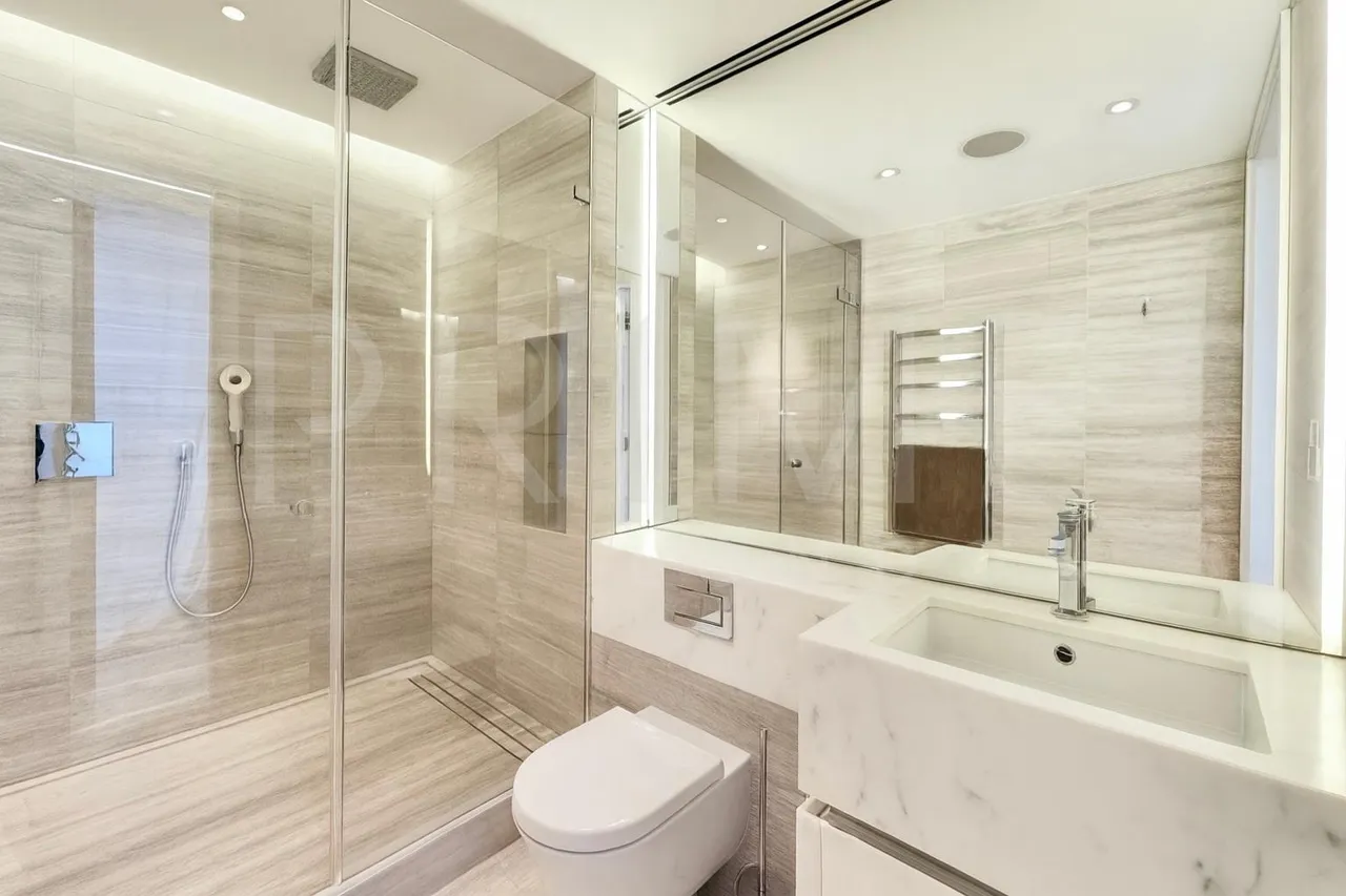 Buckingham Palace Road, Victoria, SW1W, photo 6