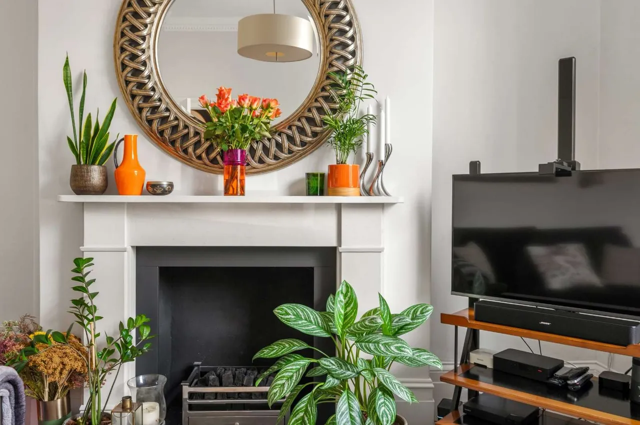 Halliford Street, Islington, N1, photo 5