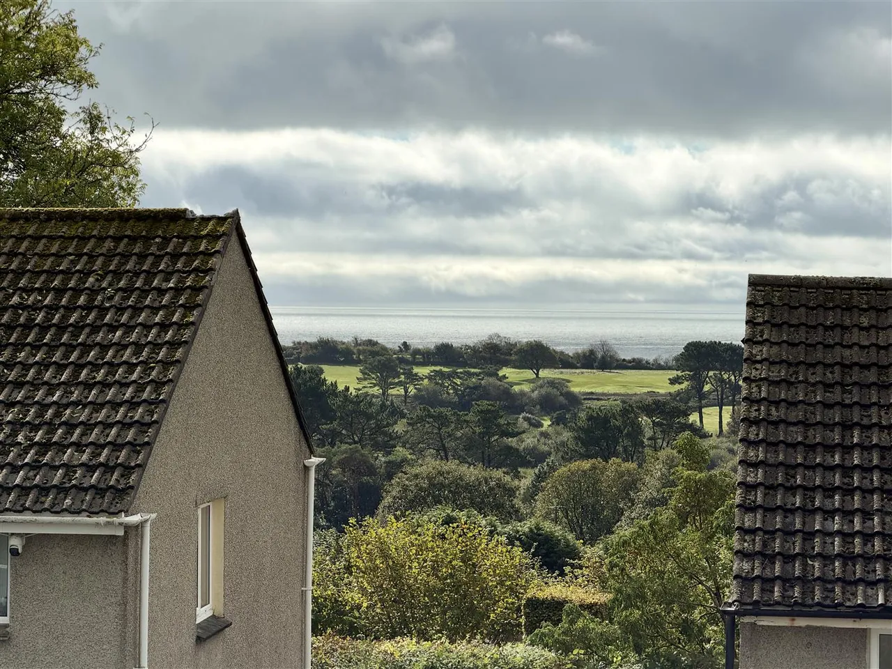 Ash Grove, Par, photo 12