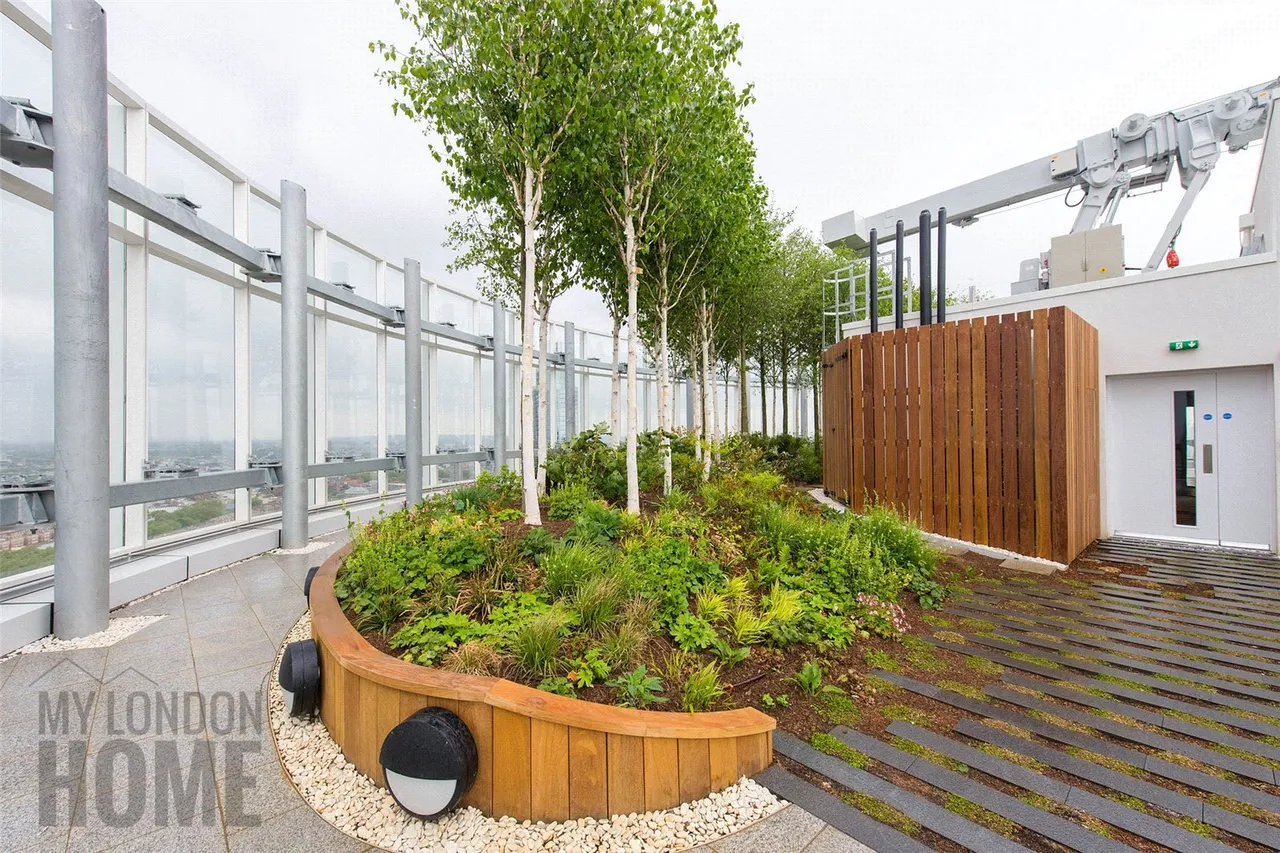 Sky Gardens, Nine Elms, SW8, photo 5
