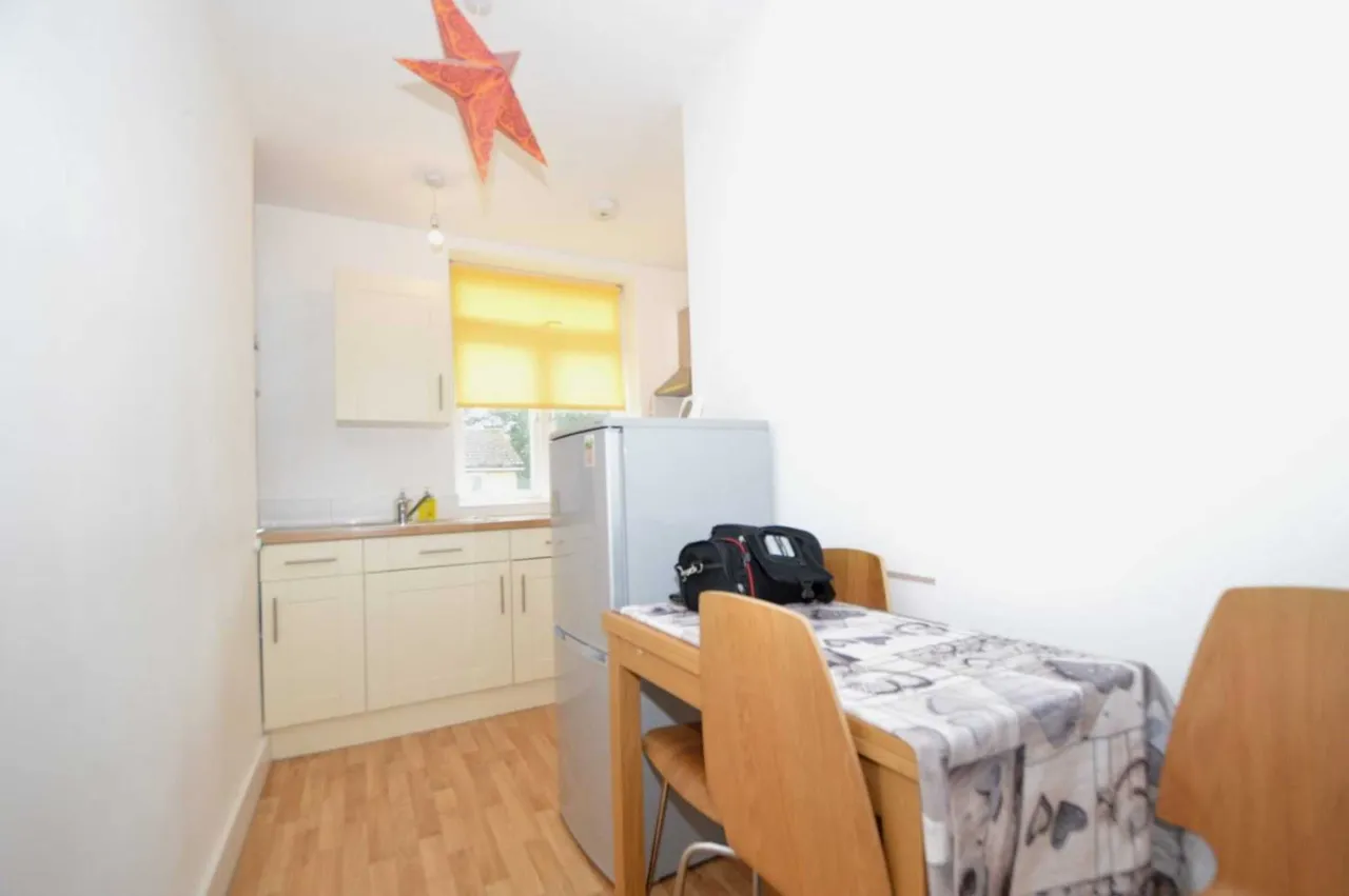 Caledonian Road, Caledonian Road, N7 9DQ, photo 4