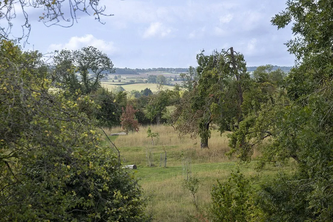 Lavender Drive, Chipping Campden, GL55, photo 16