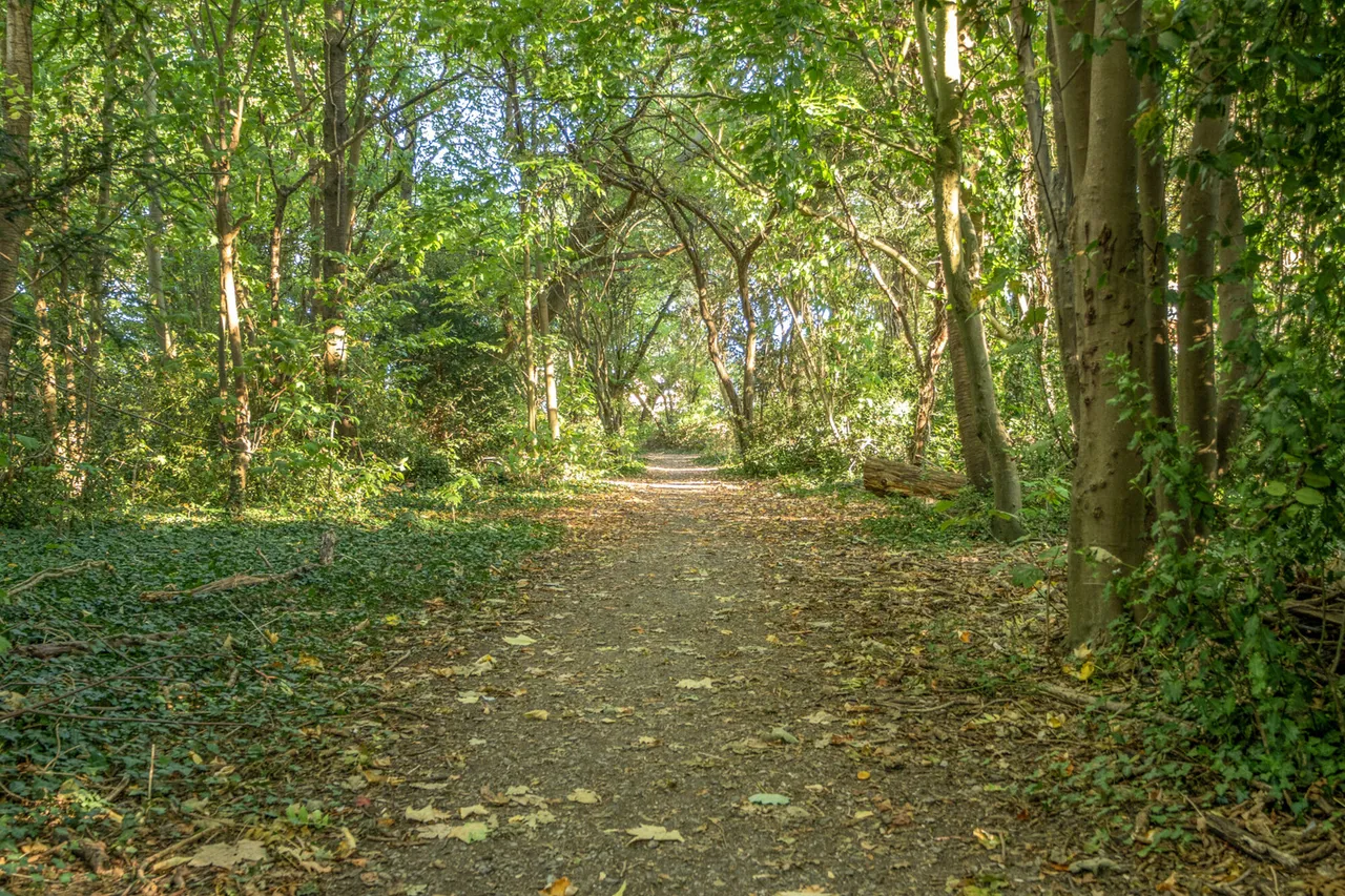 Warren Gardens, BR6, photo 11