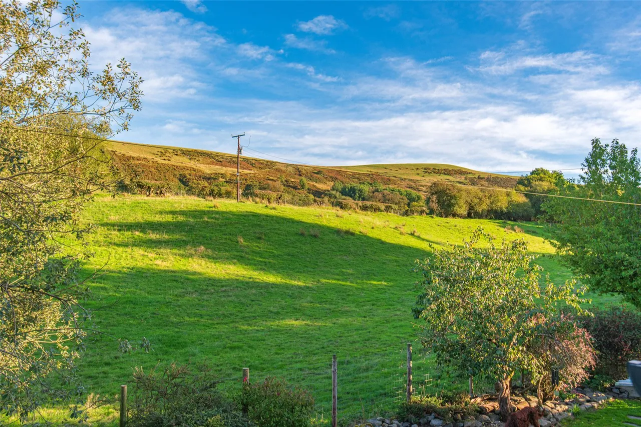 Cefn Coch, Welshpool, photo 81