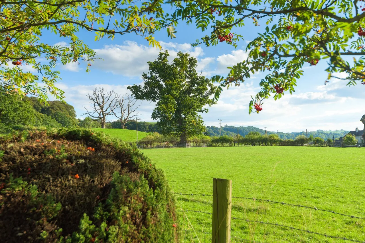 Fron, Montgomery, Powys, SY15 6SB, photo 32