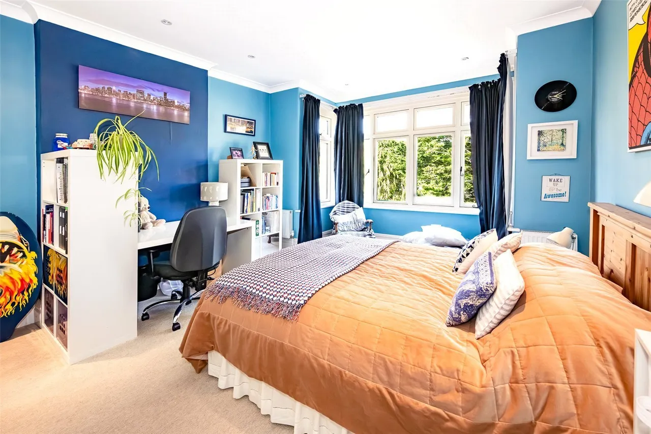 Salisbury Road, Blandford Forum, DT11, photo 12