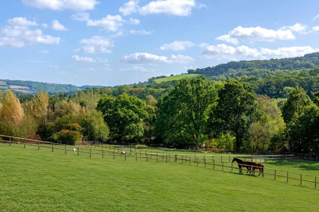 Dunsford, Exeter, EX6, photo 35