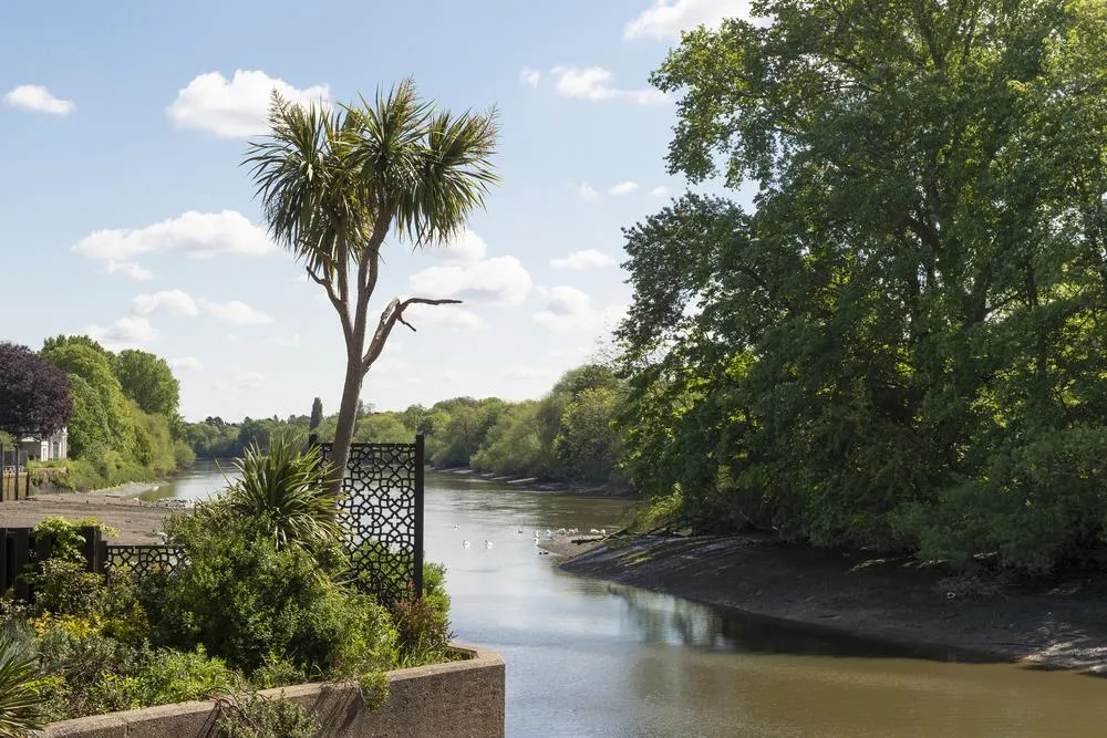 Twickenham Road, Isleworth, TW7, photo 8