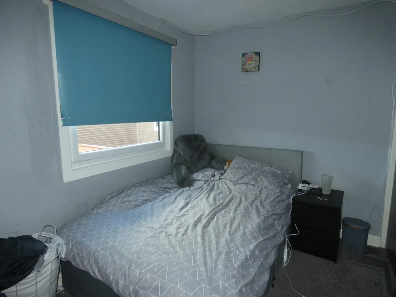Pine View, Peterhead, AB42, photo 8