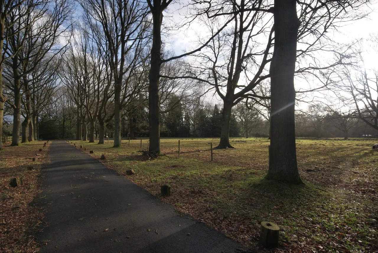 Earlswood Common, Earlswood, B94, photo 11