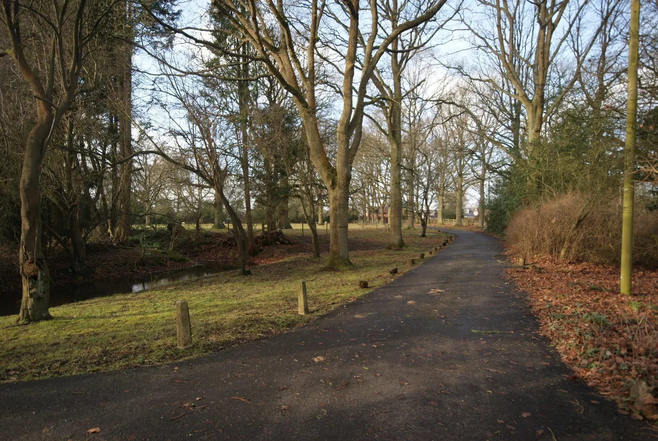 Earlswood Common, Earlswood, B94, photo 15