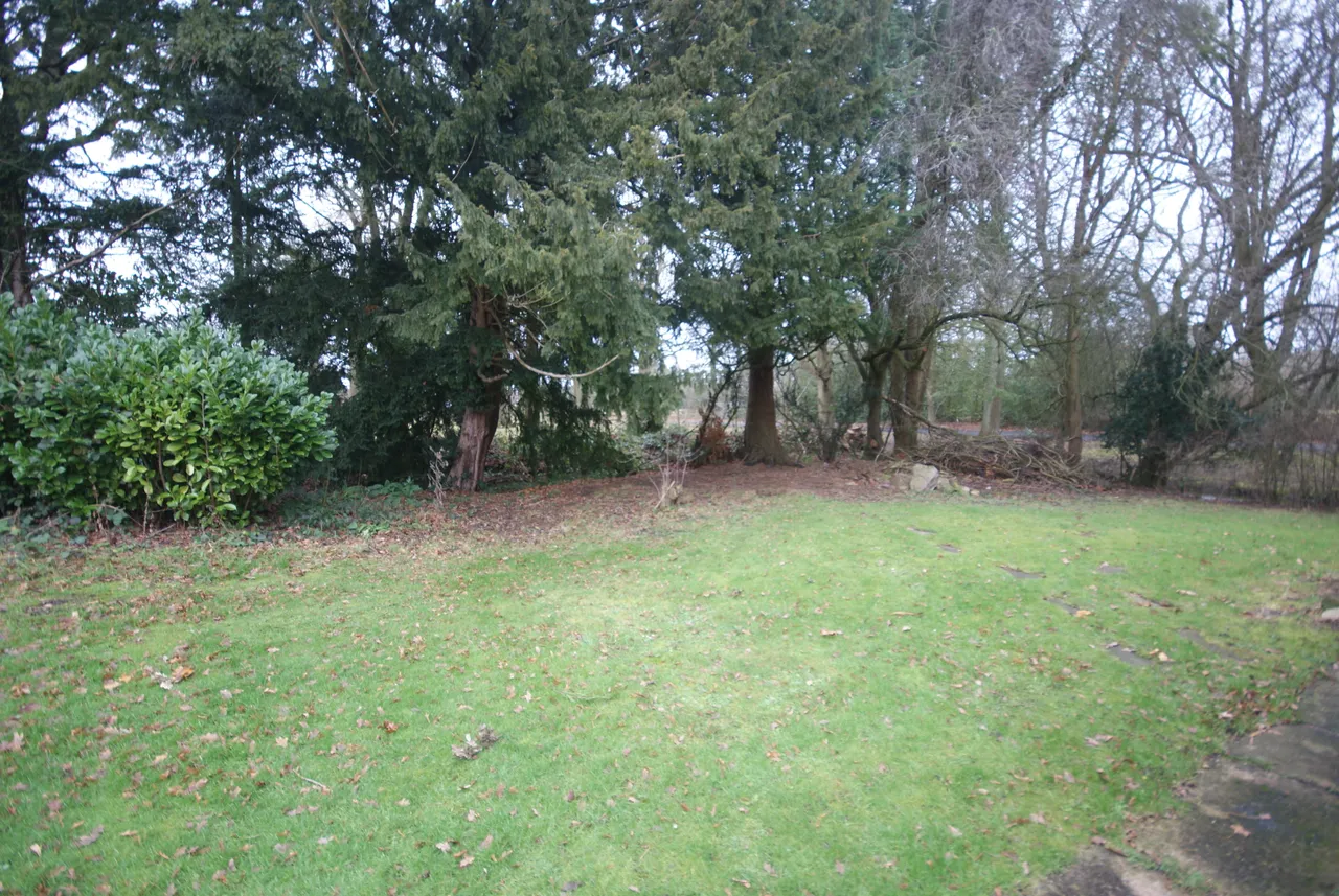 Earlswood Common, Earlswood, B94, photo 16