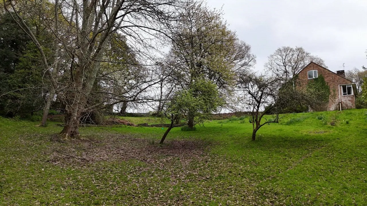 Cowpitts Lane, Ringwood, Hampshire, BH24 3JX, photo 4