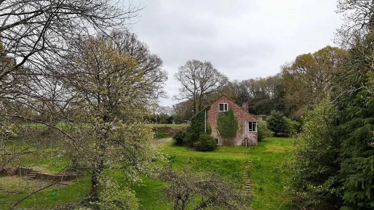 Cowpitts Lane, Ringwood, Hampshire, BH24 3JX, photo 6