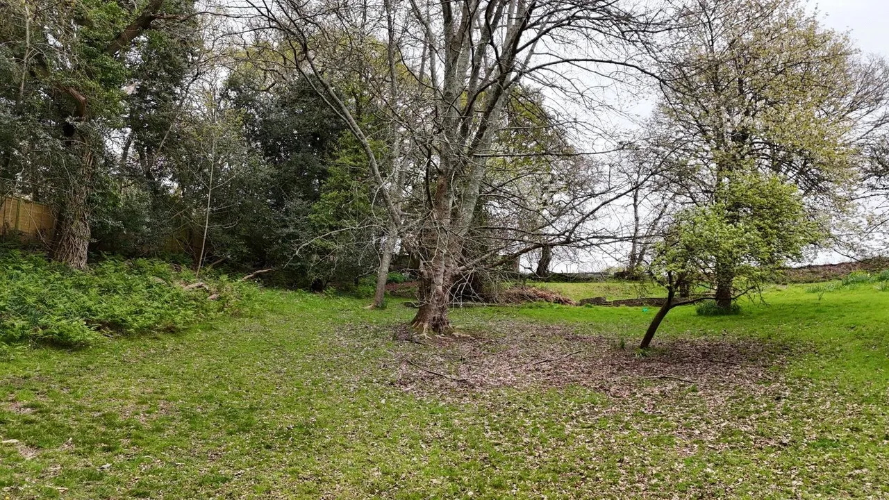 Cowpitts Lane, Ringwood, Hampshire, BH24 3JX, photo 8
