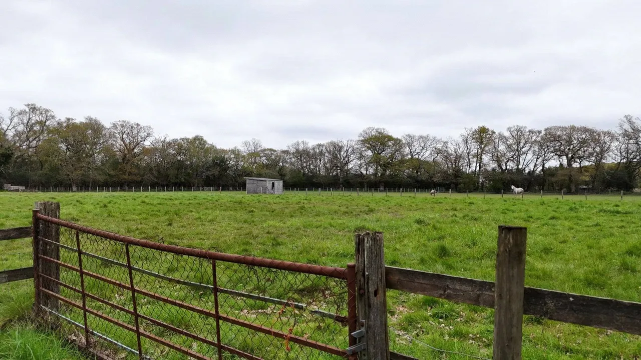 Cowpitts Lane, Ringwood, Hampshire, BH24 3JX, photo 7
