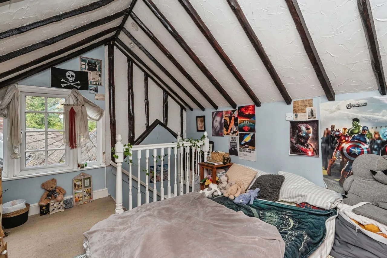 Abbey Street, Farnham, GU9, photo 23