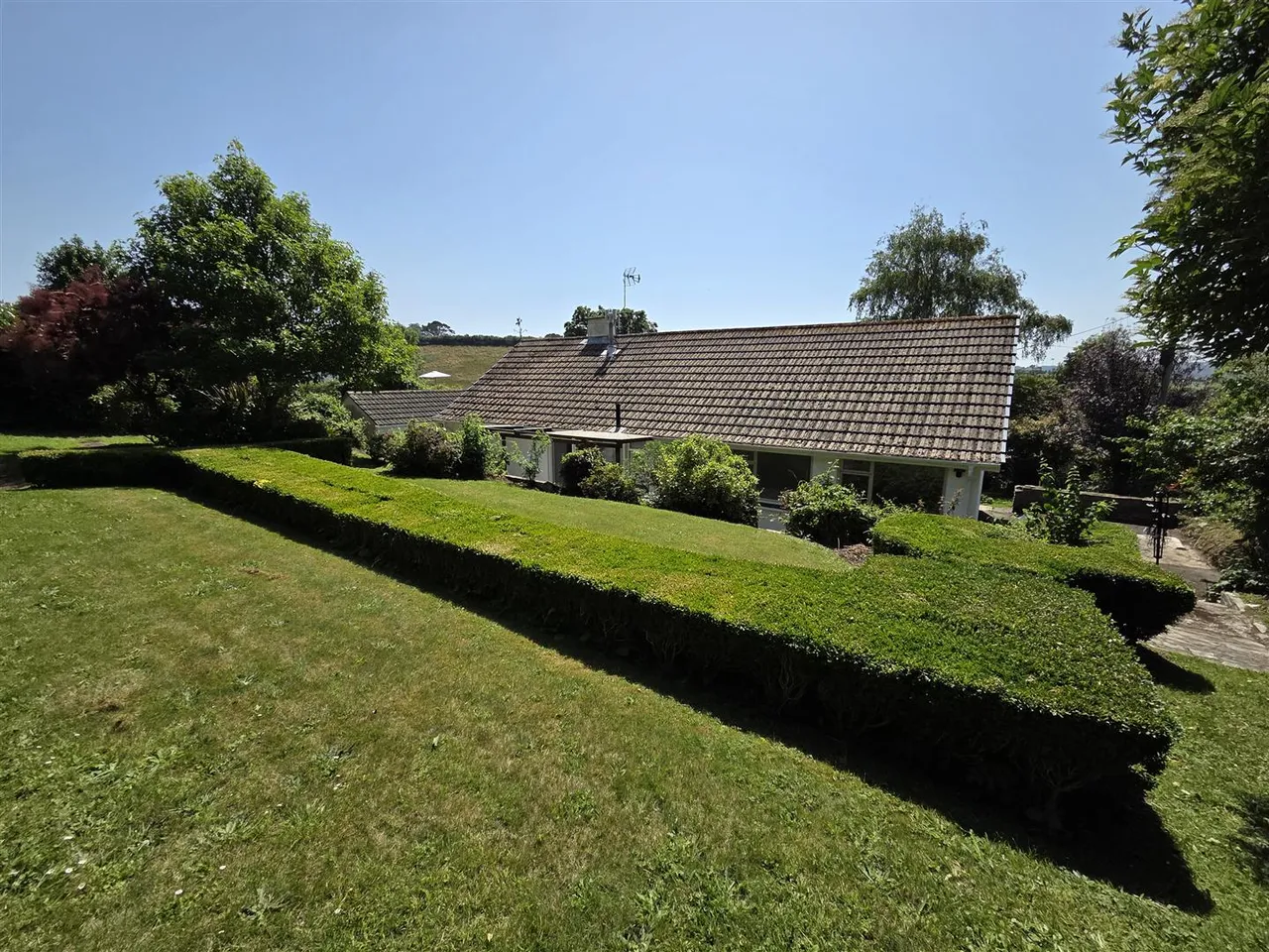 Ruanlanihorne, photo 16