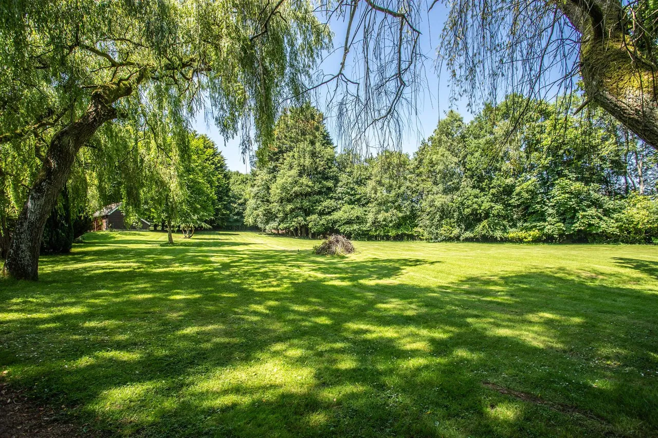 Horney Common, Uckfield, TN22 3EE, photo 30