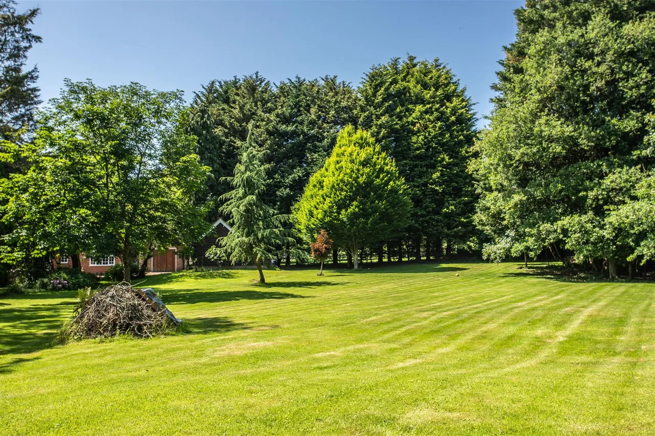 Horney Common, Uckfield, TN22 3EE, photo 20