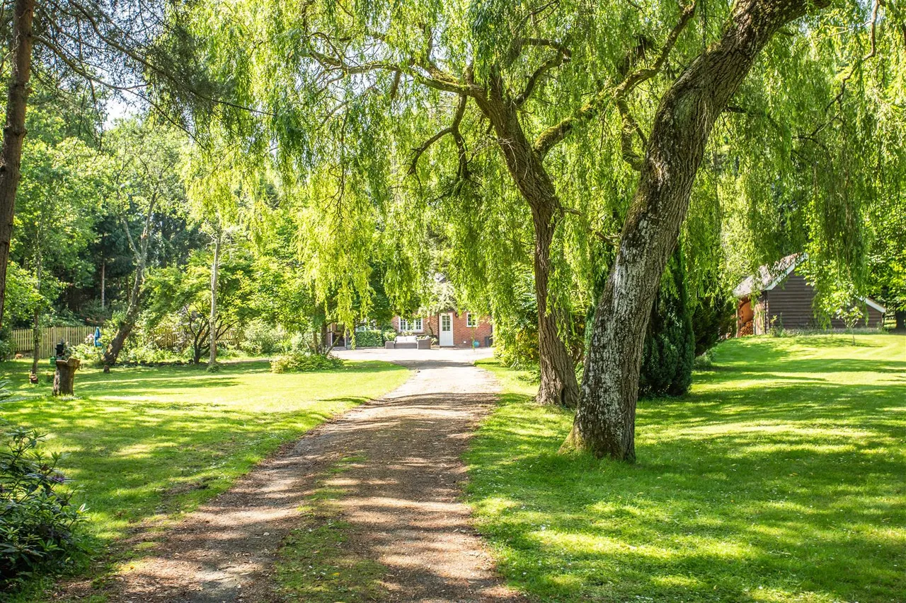 Horney Common, Uckfield, TN22 3EE, photo 23