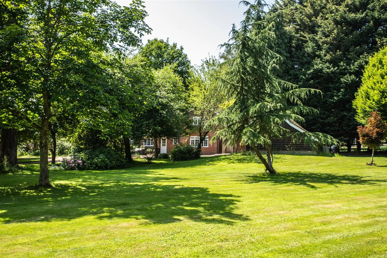 Horney Common, Uckfield, TN22 3EE, photo 24