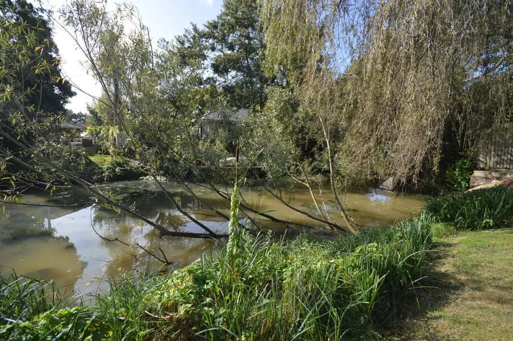Wey Meadows, Weybridge, KT13, photo 11