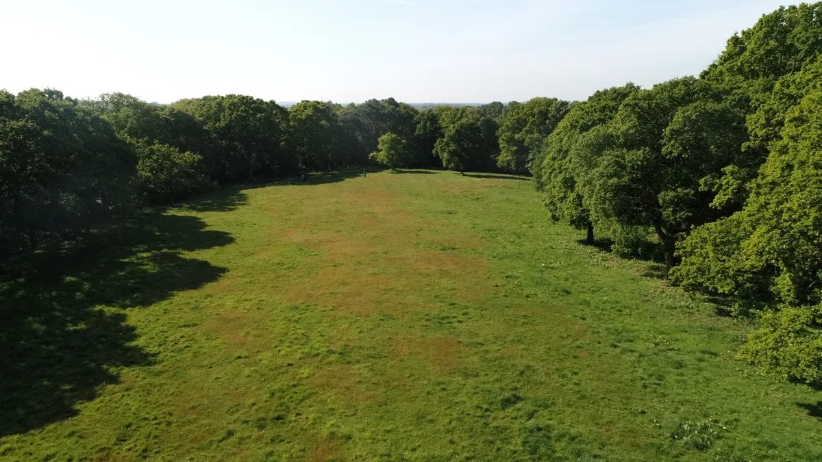 Salisbury Road, Sherfield English, SO51, photo 7