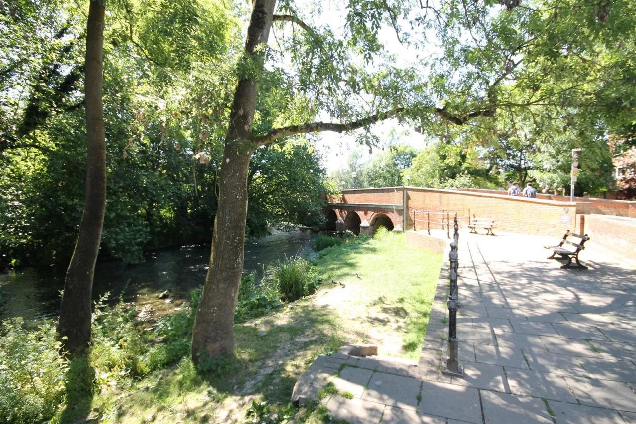 Bridge Street, Leatherhead, KT22, photo 7