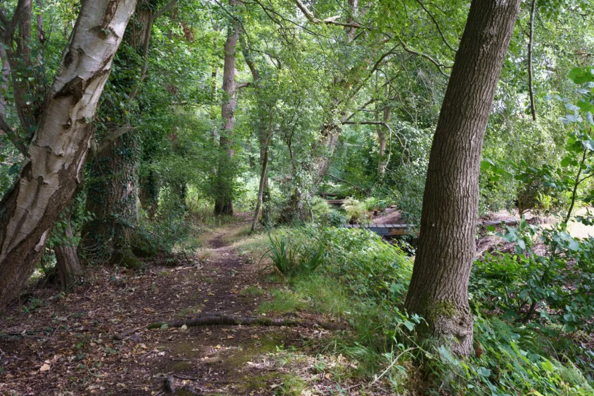 Scottow Row, Scottow, NR10, photo 33