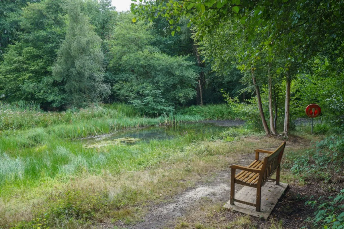 Scottow Row, Scottow, NR10, photo 35