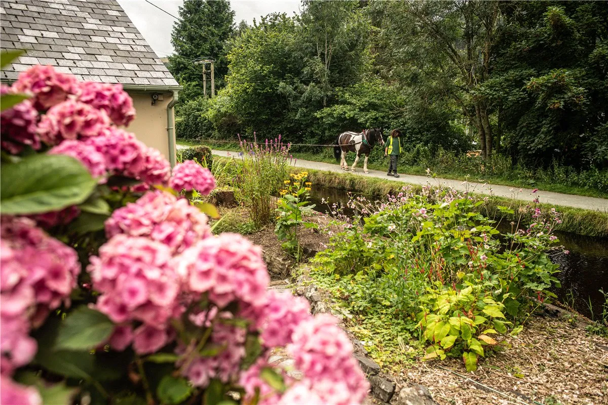Abbey Road, Llangollen, LL20, photo 18