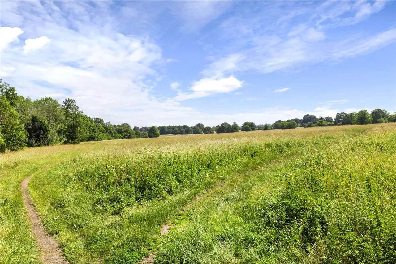 The Ridgeway, Guildford, GU1, photo 26