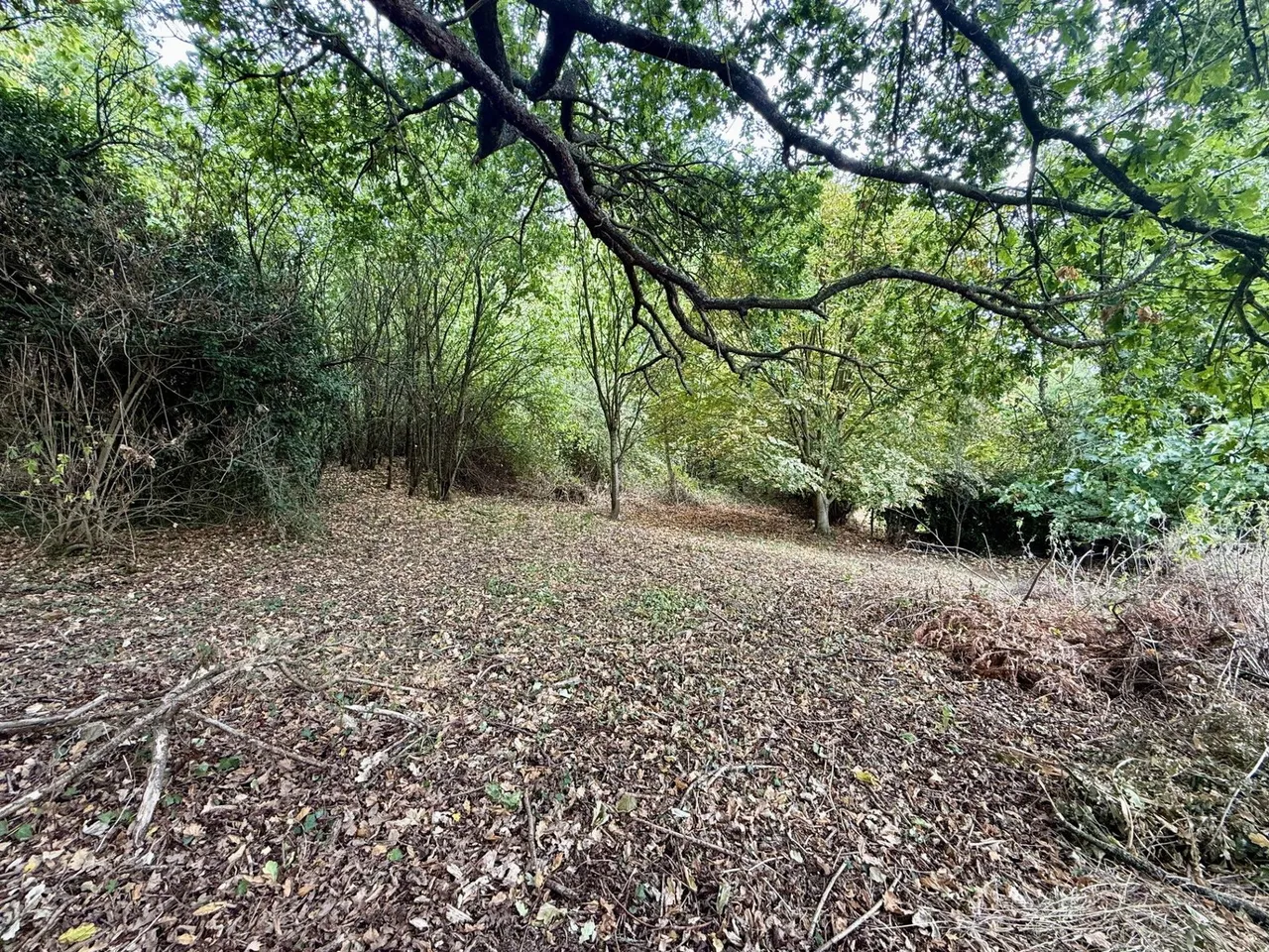 Sterrys Lane, May Hill, photo 11