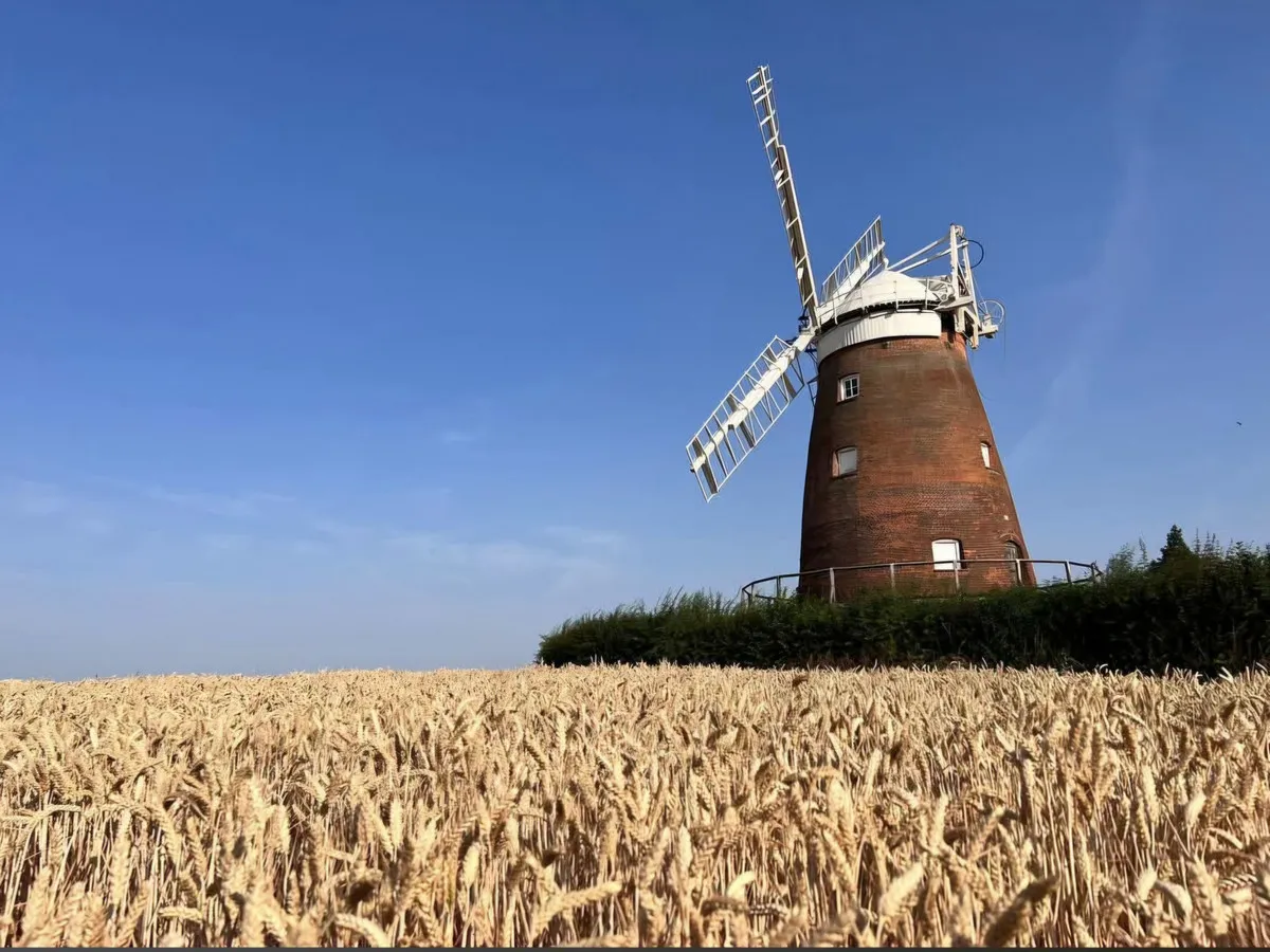 Watling Lane, Thaxted, CM6, photo 33