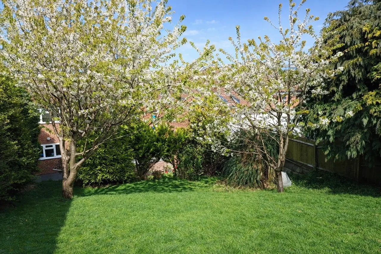 Sandwich Drive, St. Leonards-On-Sea, photo 4