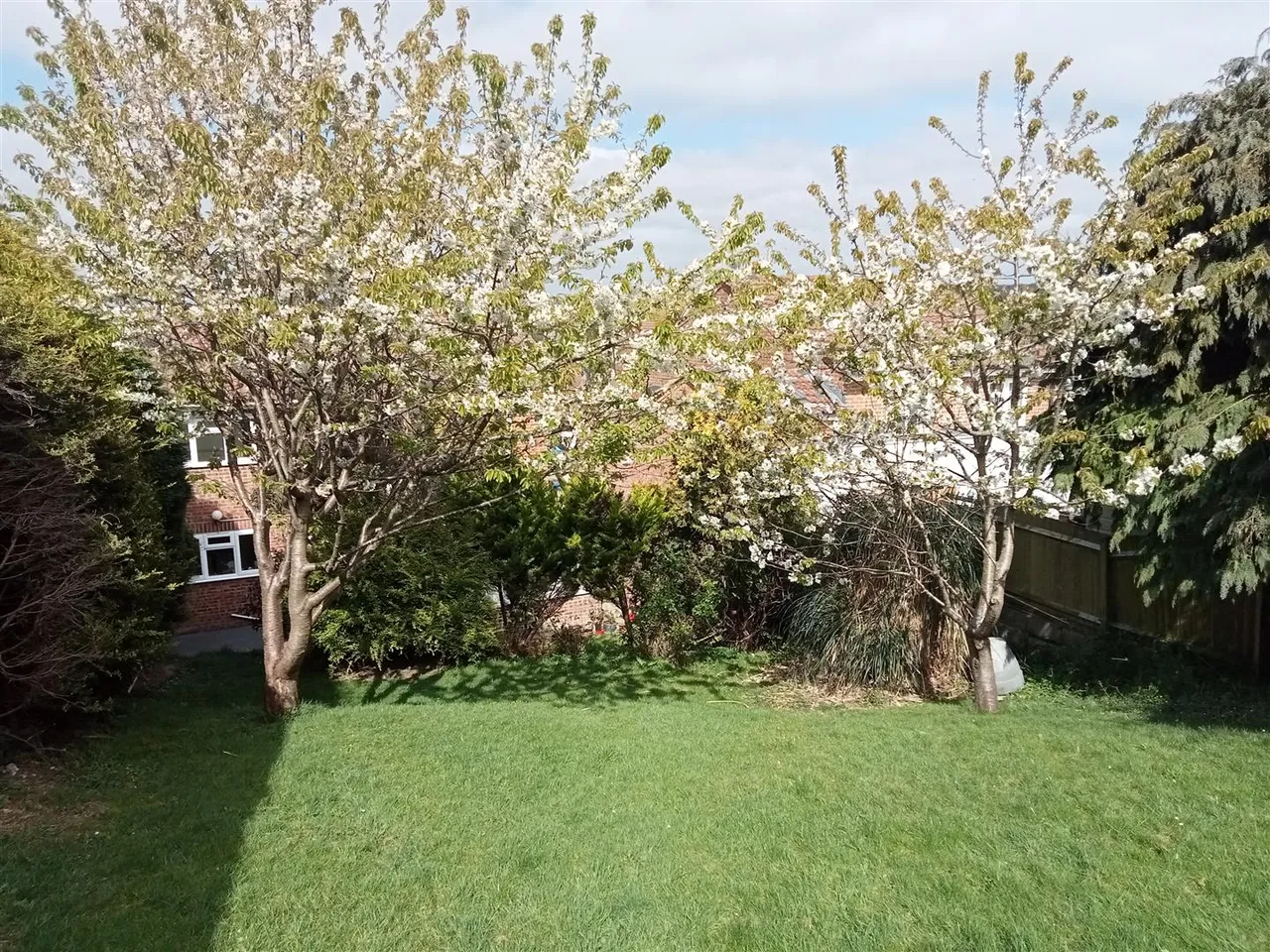 Sandwich Drive, St. Leonards-On-Sea, photo 26