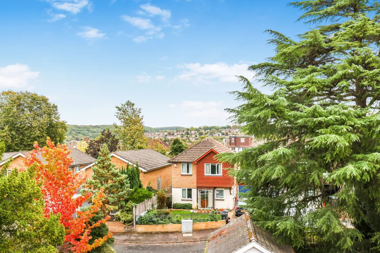 Pampisford Road, South Croydon, CR2, photo 18