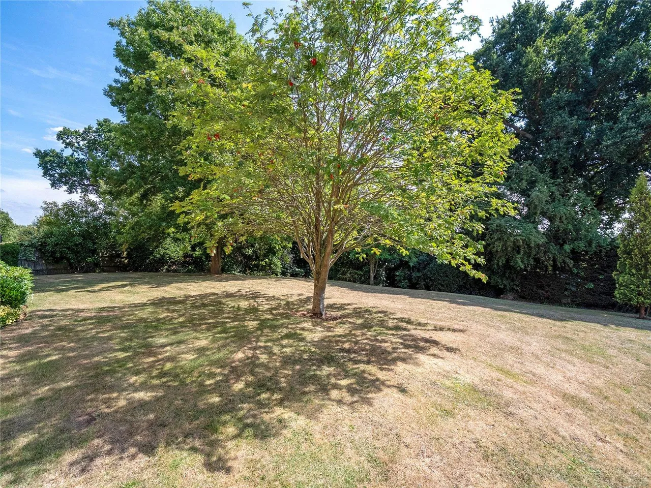 Crescent Road, photo 35