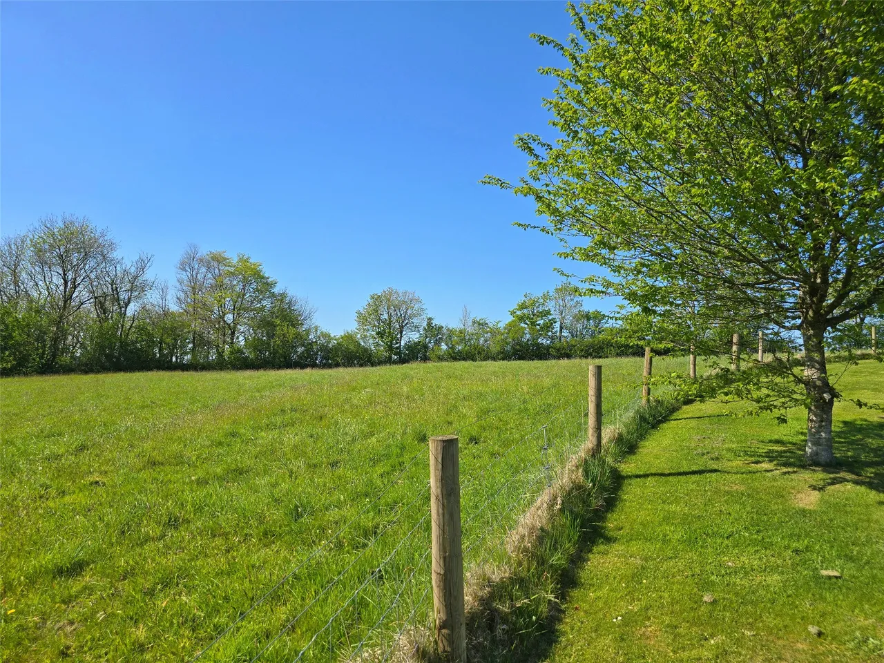 Chasty, Holsworthy, EX22, photo 38