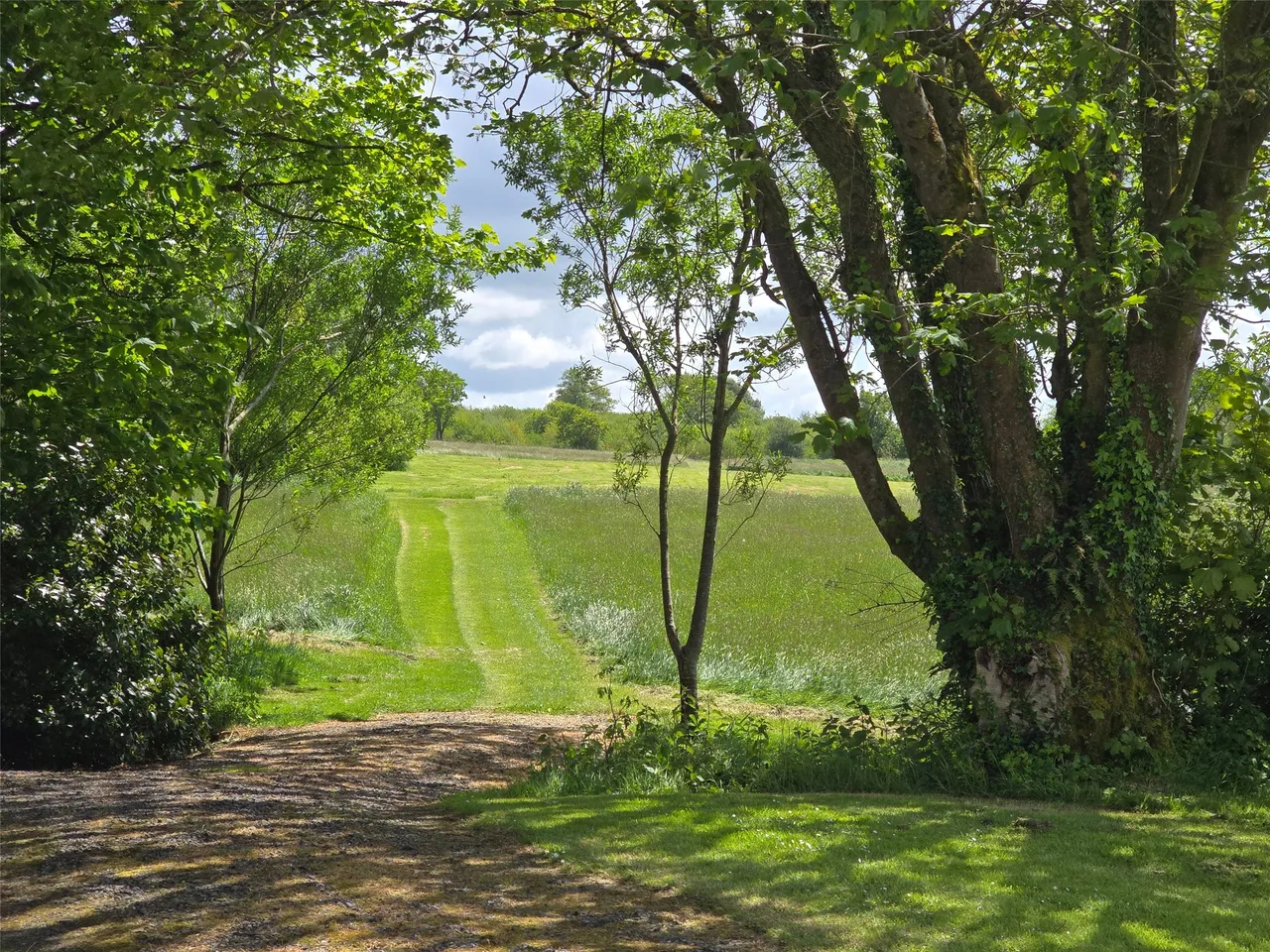 Ashwater, Beaworthy, EX21, photo 20