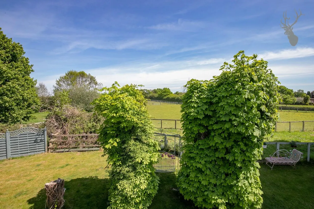Epping Road, Nazeing, EN9, photo 26