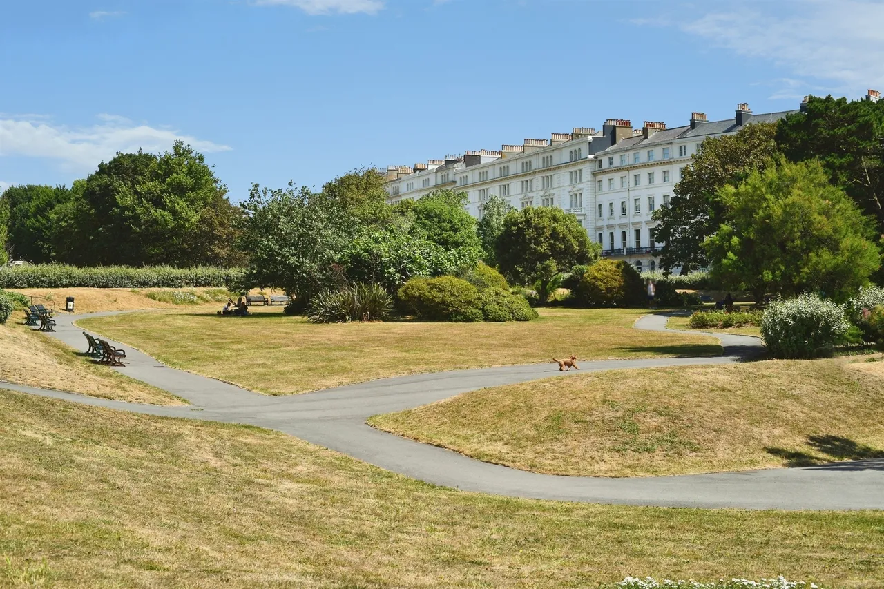 Adelaide Crescent, Hove, BN3, photo 17