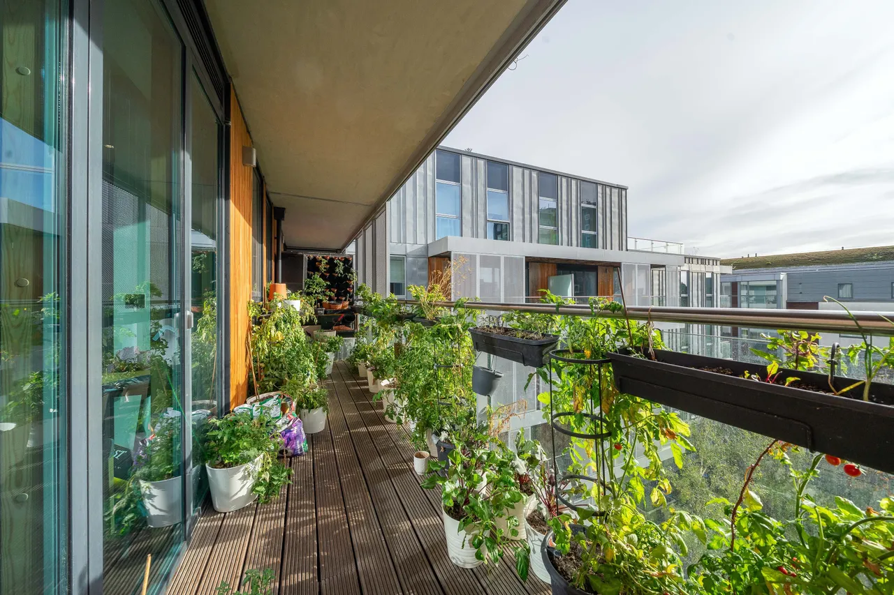 Albert Road, London, NW6, photo 8
